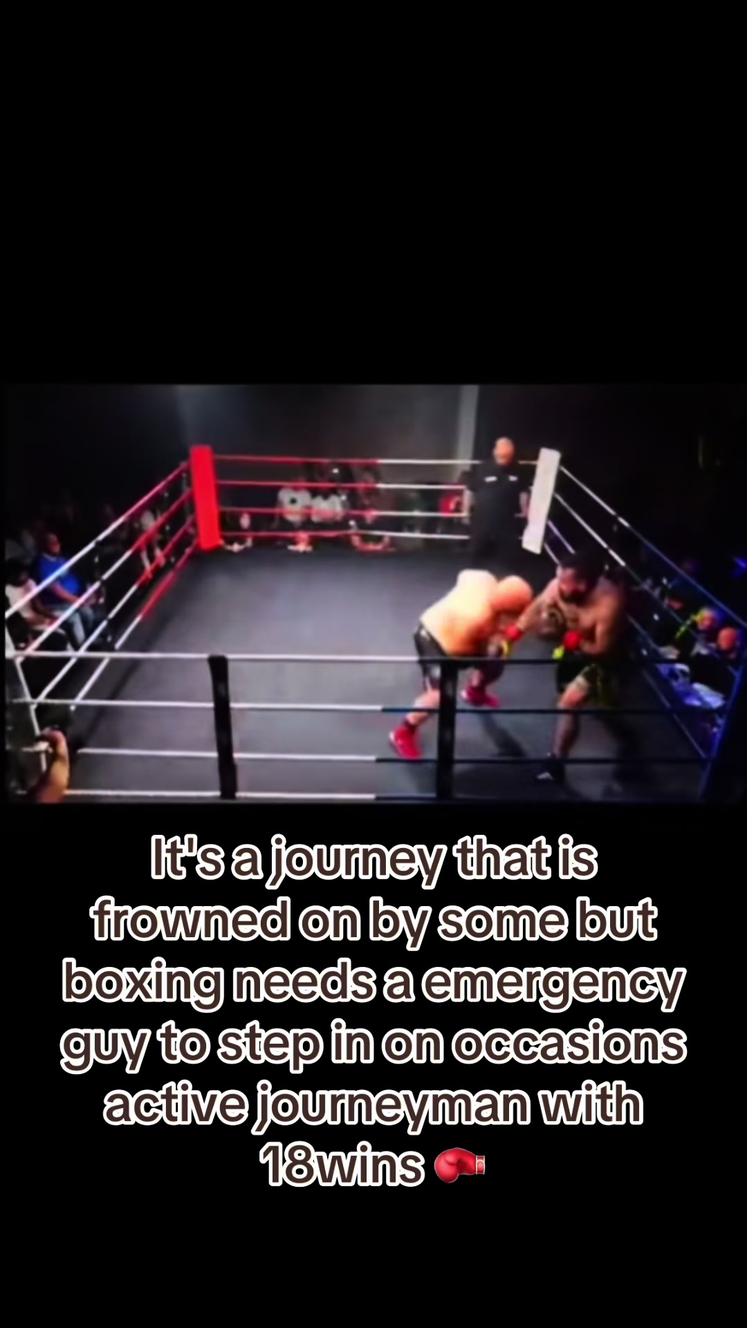 @mikehadley boxer