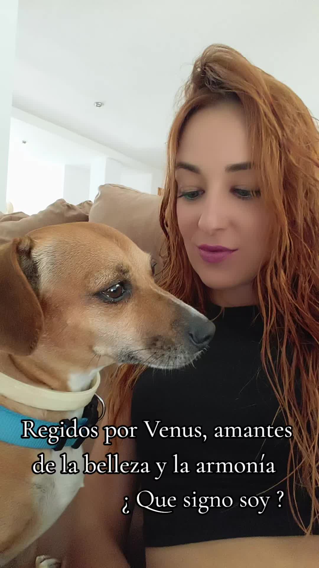 @Alba Moncho Miñana