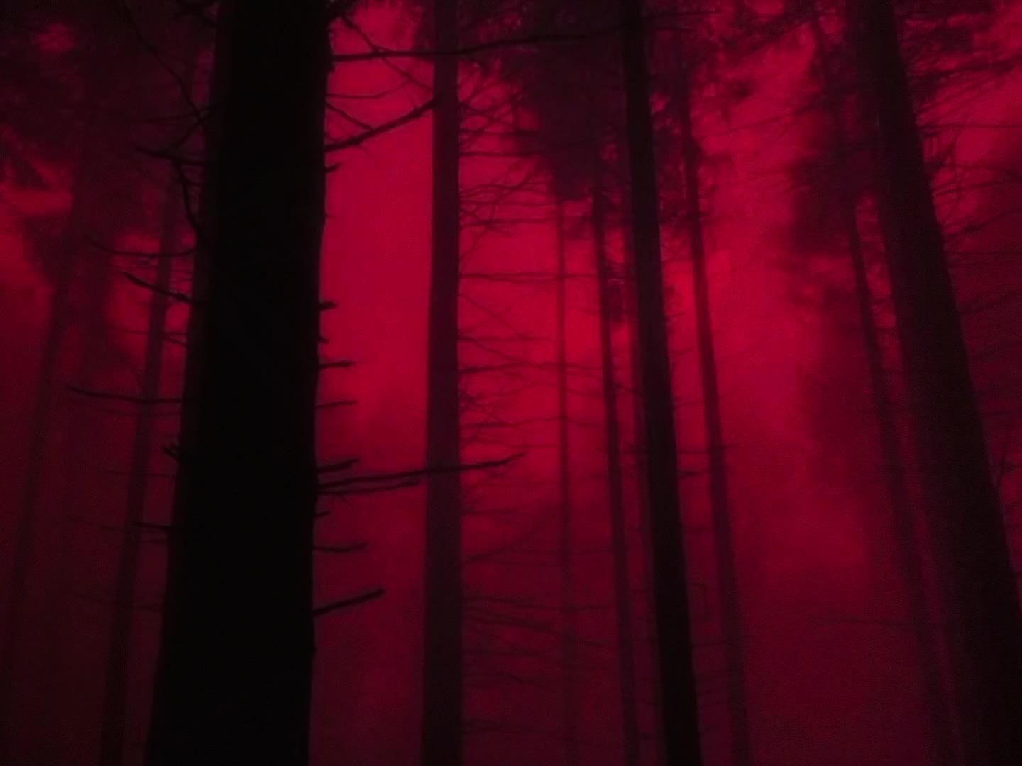 @plyuy_lyrics