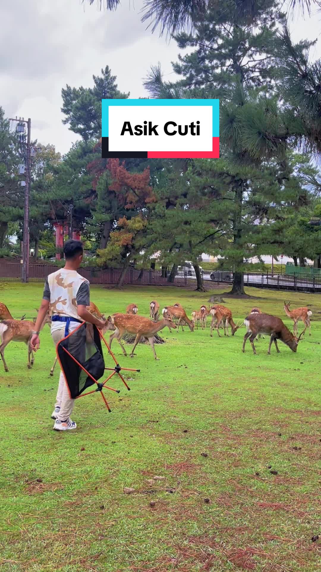@Risky RMD