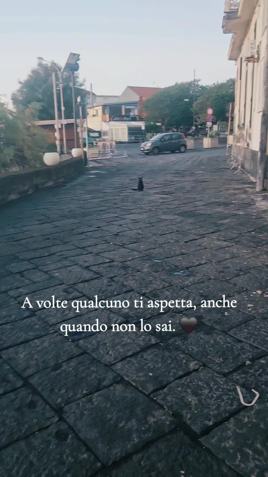 @Salvatrice Strano