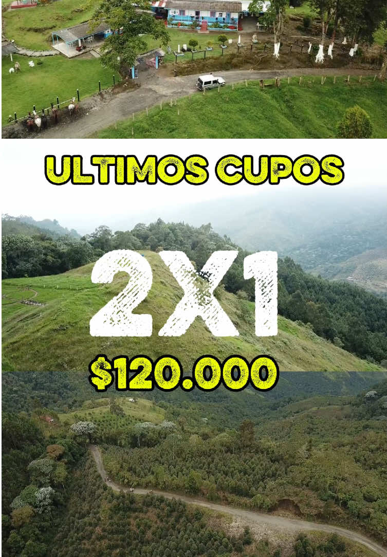 @origen la linea
