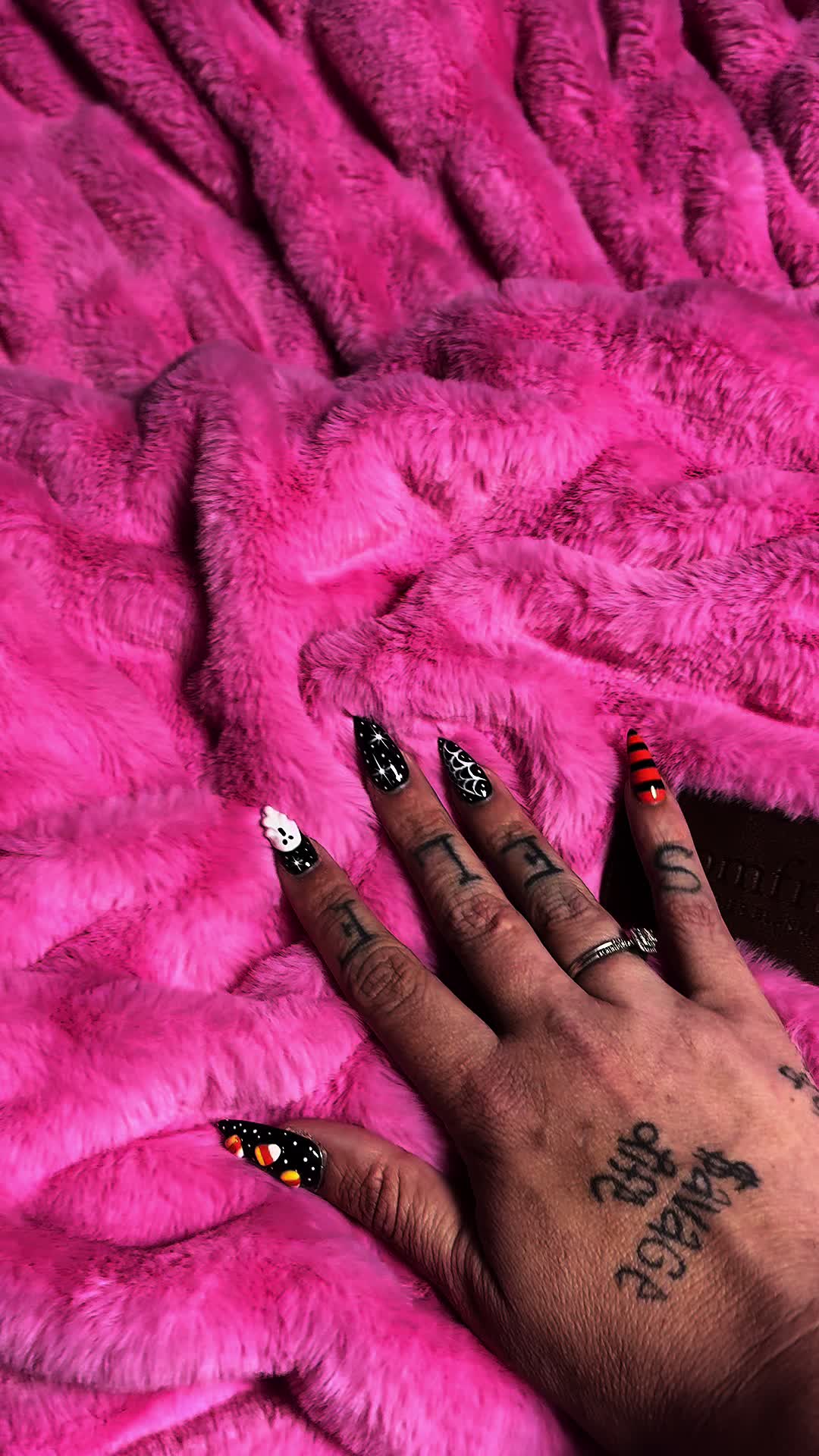 @kai•thedogmother🐾