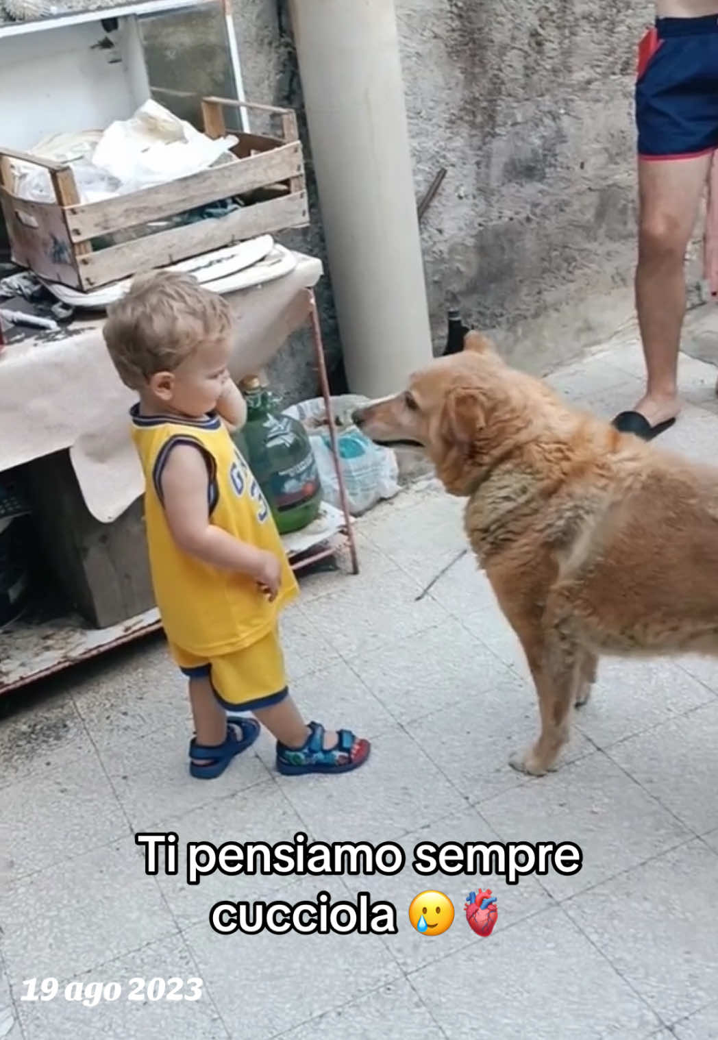 @Jessica Morabito