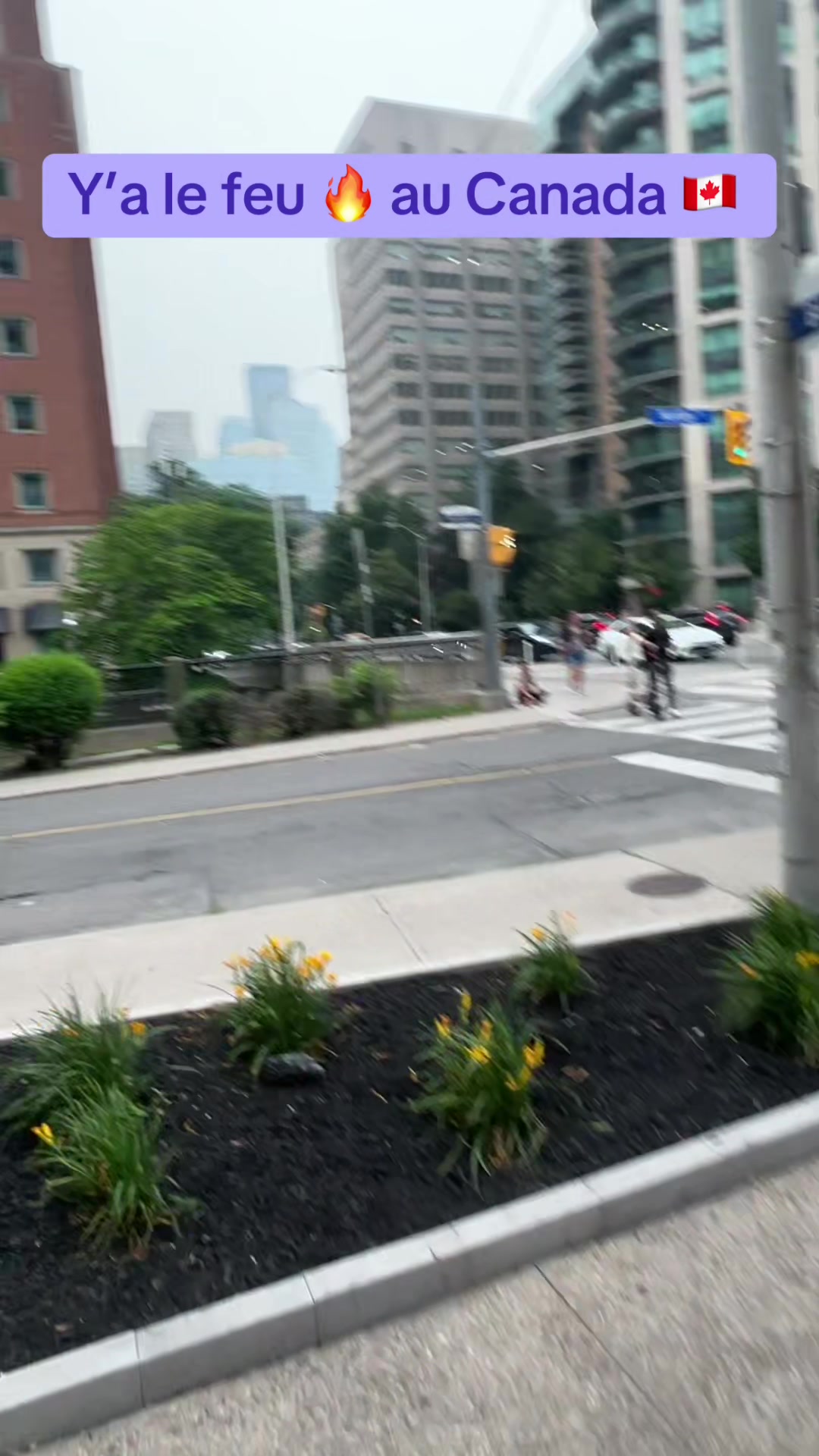 @Cacao de | Toronto 🇨🇦🥶