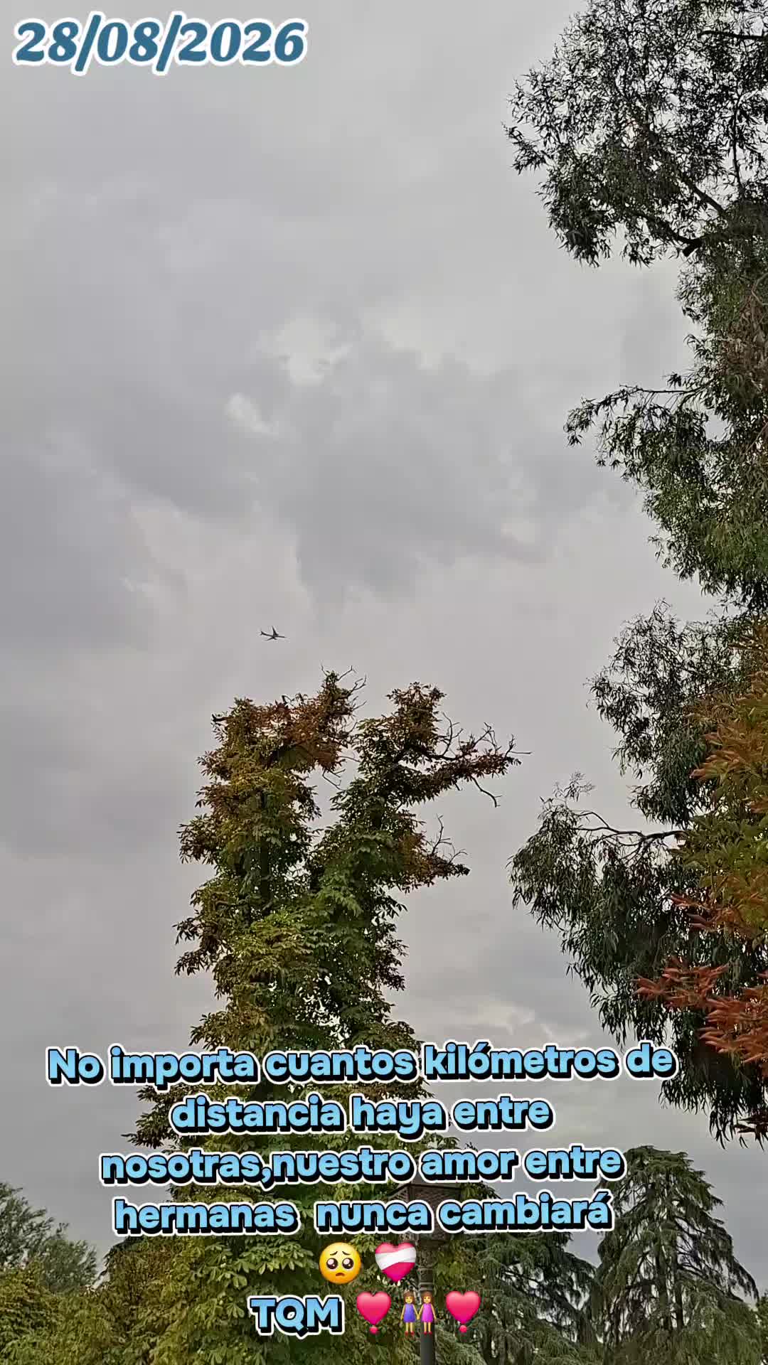 @SaritaMadridEspaña 🇵🇪🇪🇸🕊