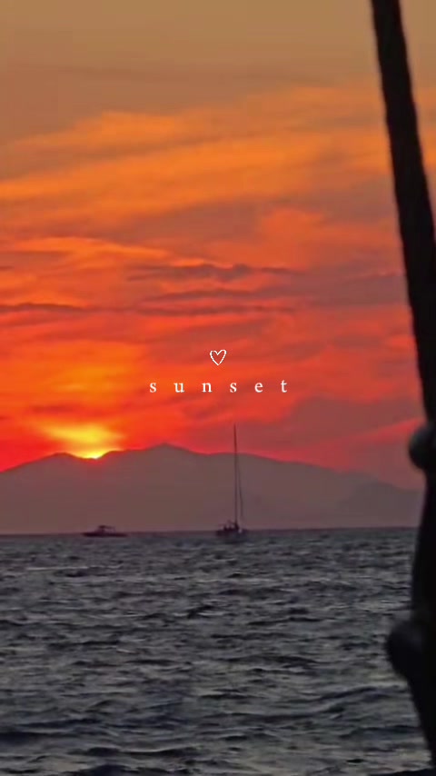 @dootjeeex🇳🇱