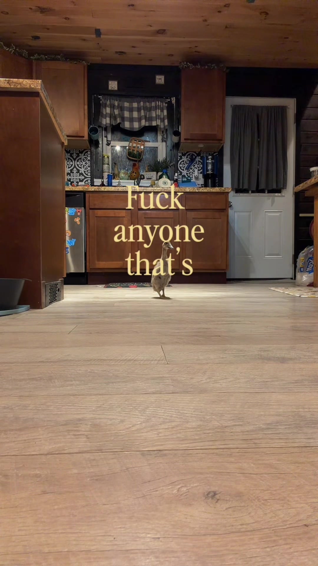 @Booked by Lex