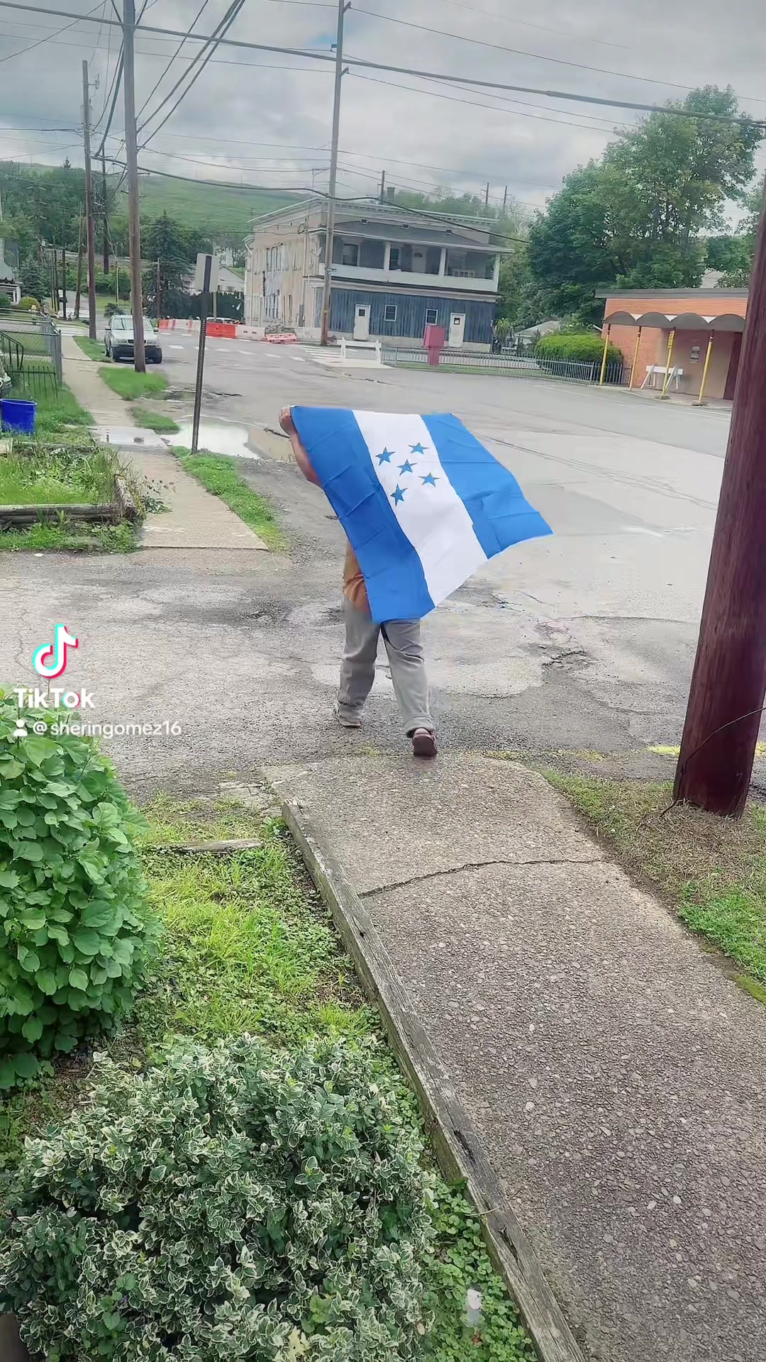 @Sigua TikTok