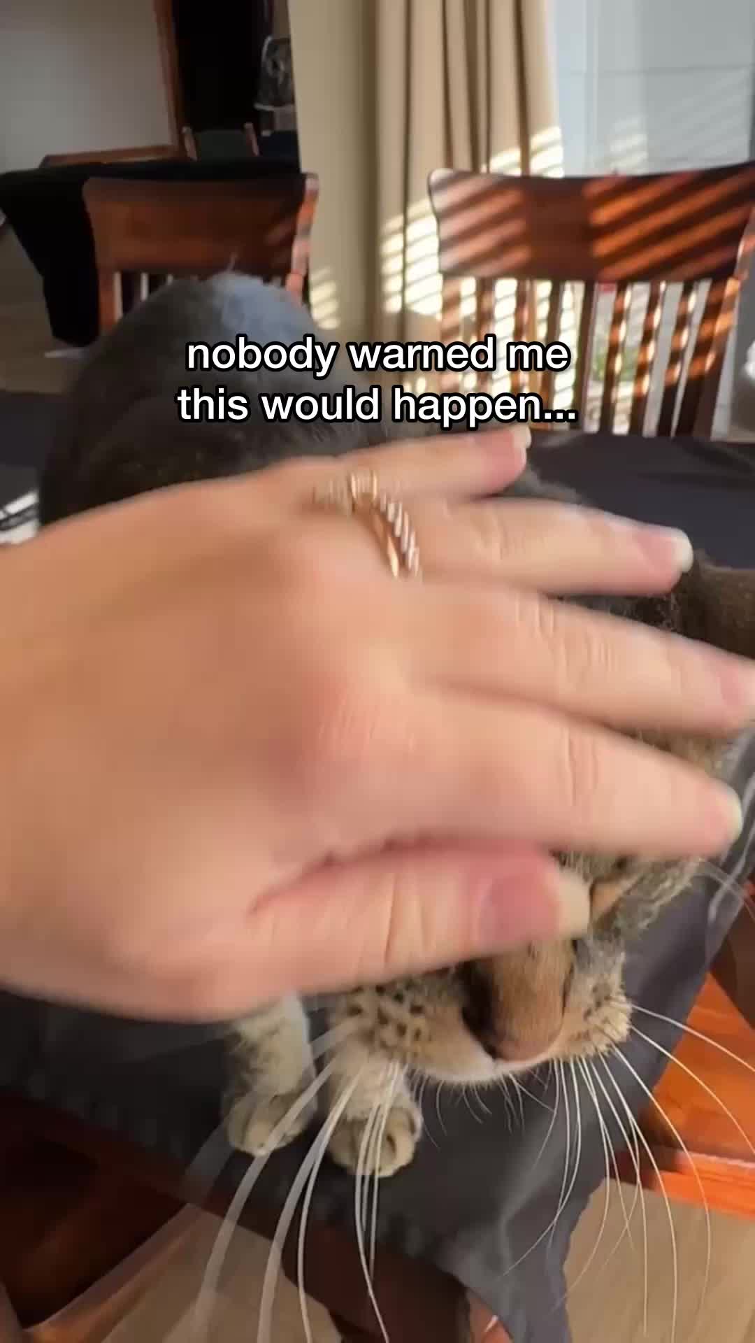 @Chip The Manx