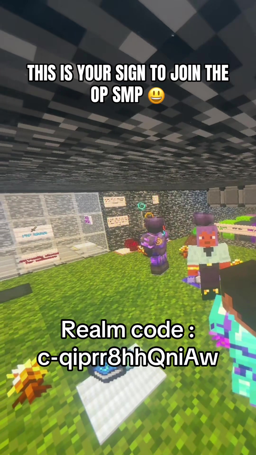 @OP SMP | bedrock realm