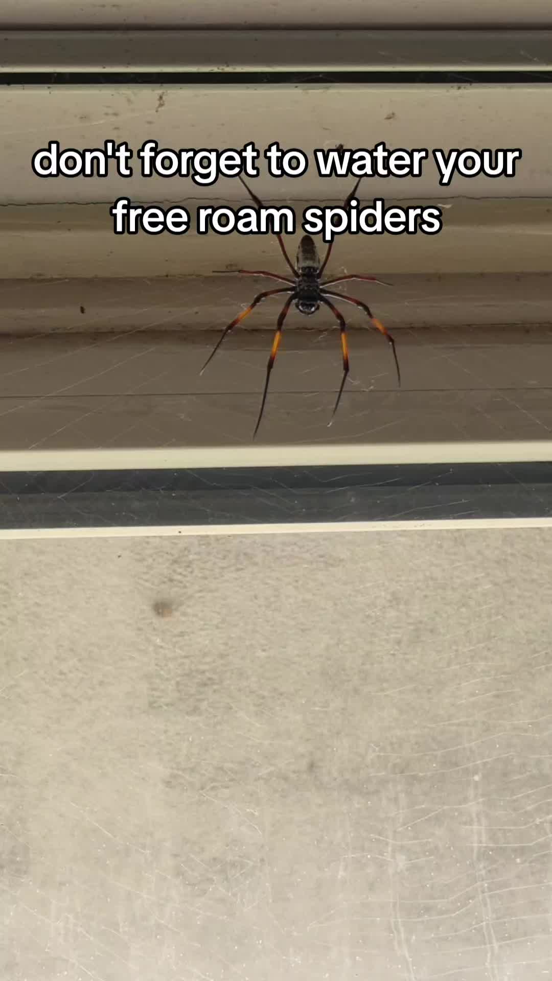 @Bestiesbeasties