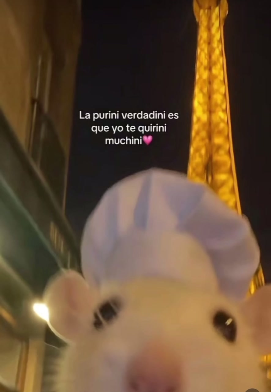 @Vibra Latina