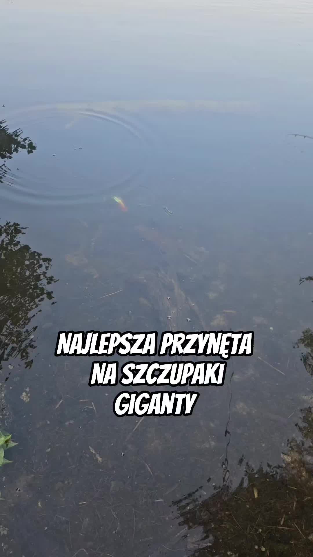 @mfly_lures