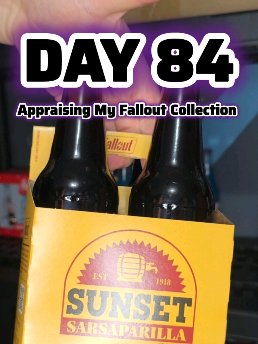 @☢️The Fallout Collector☢️