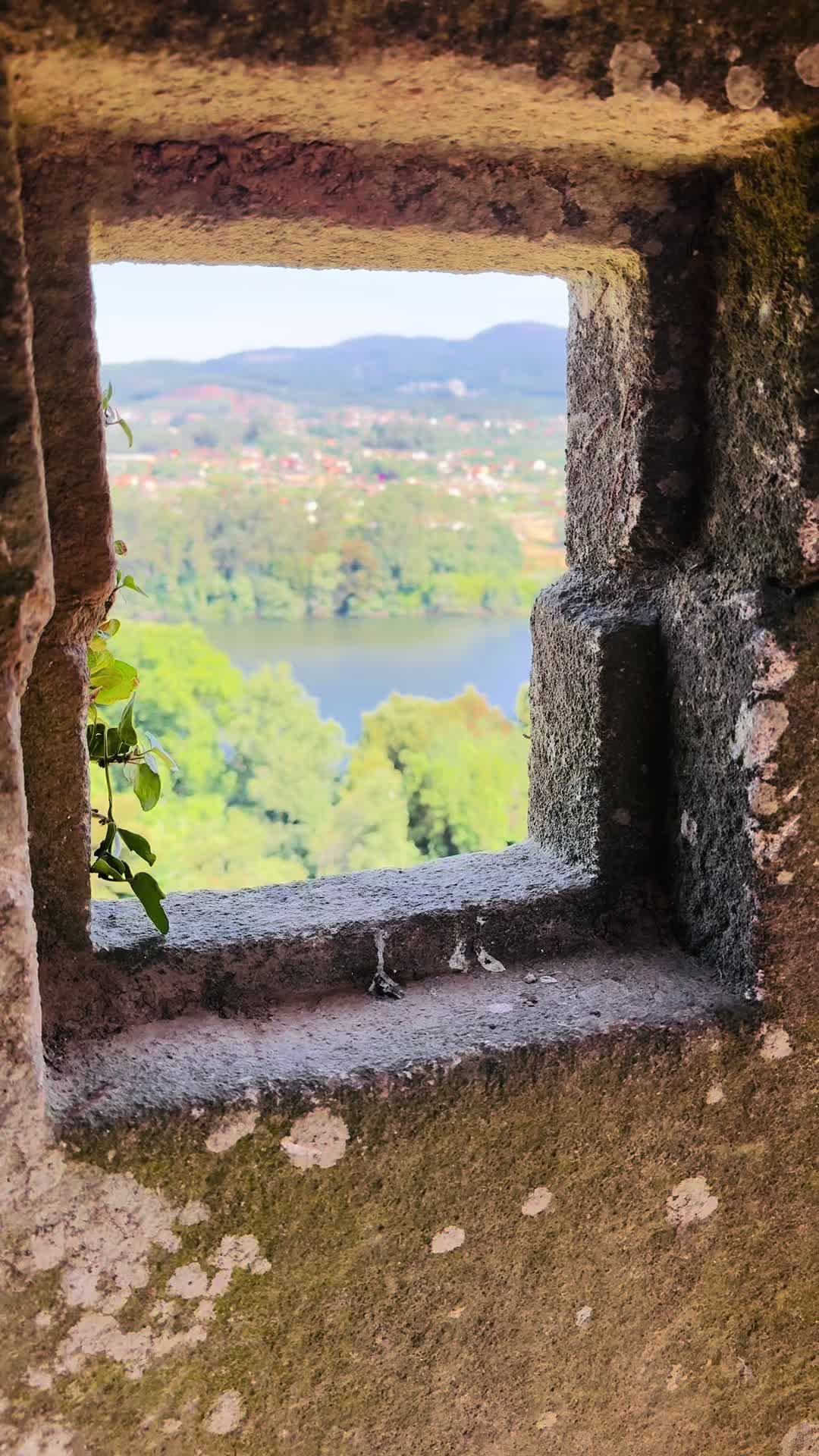 @bia_gncc