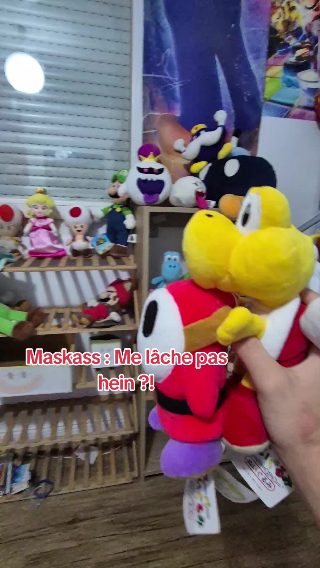 @peluchemario64