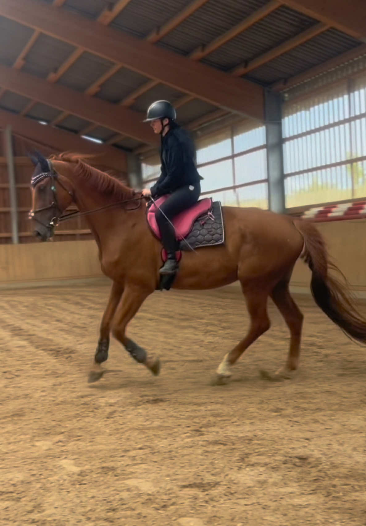 @annalisa.equestrian