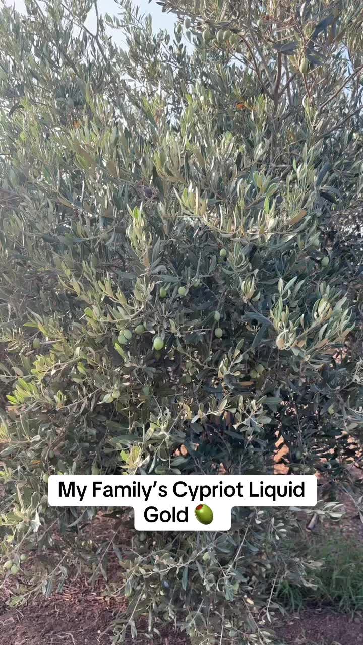 @Cousin Iskele 🐸