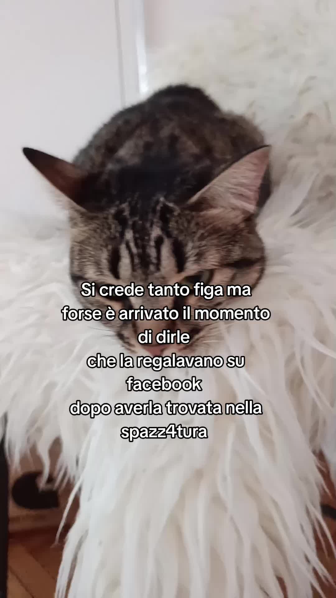 @Giusy ๐ป La Greca