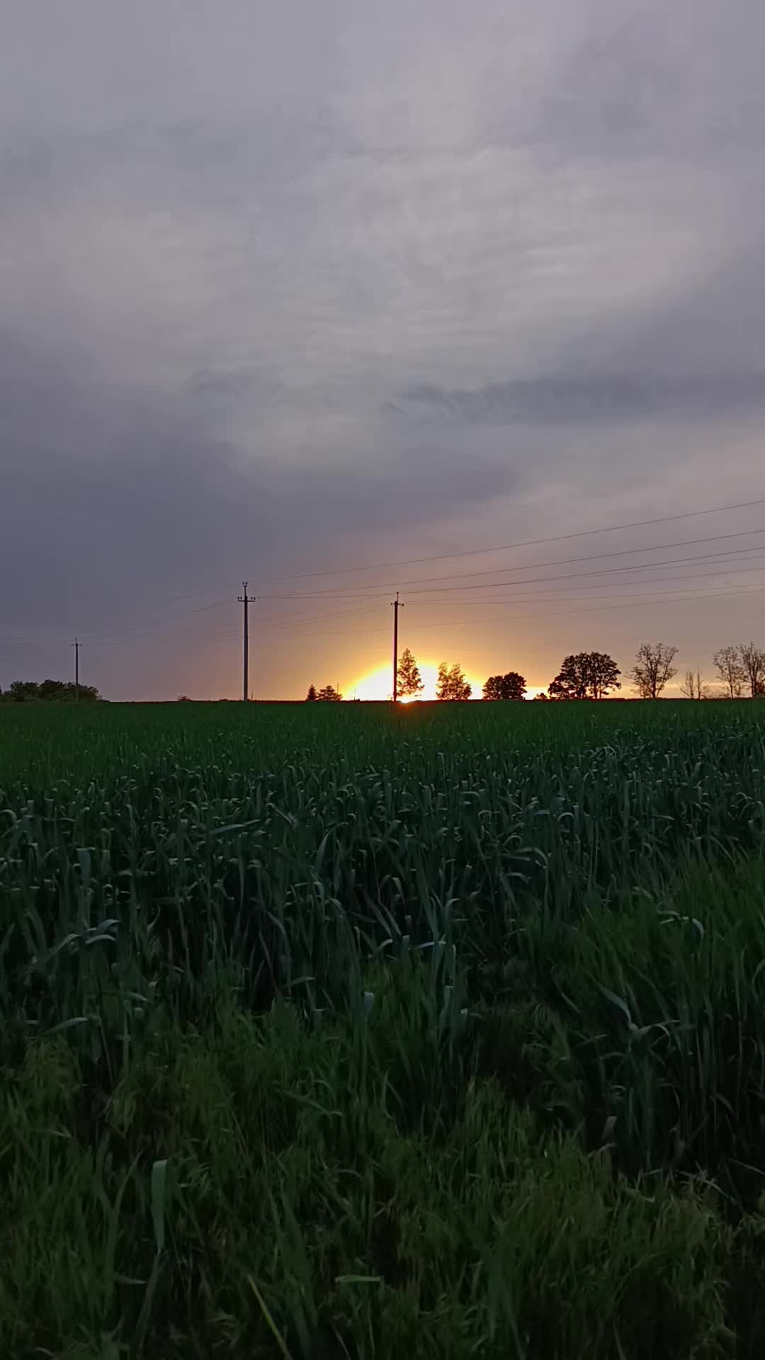 @Славік і Село