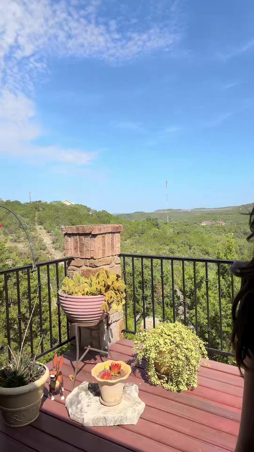 @Andrea Nicole