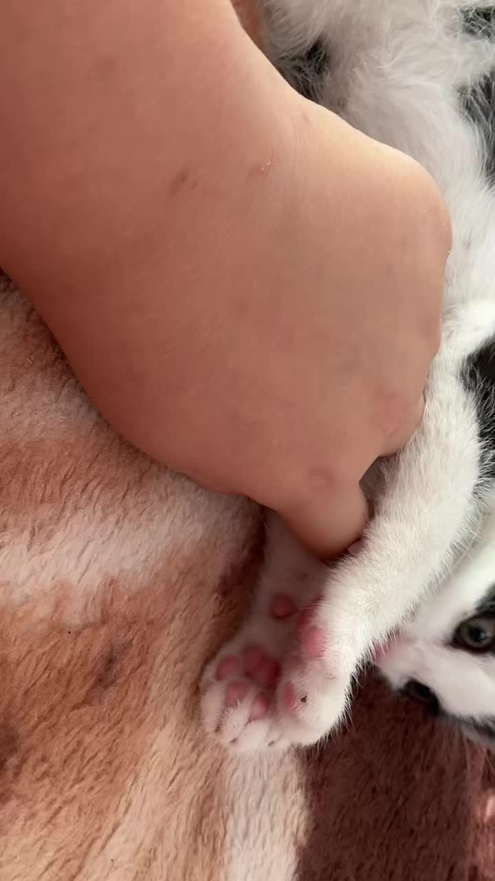 @🖤🤍Oreo_rants🖤🤍