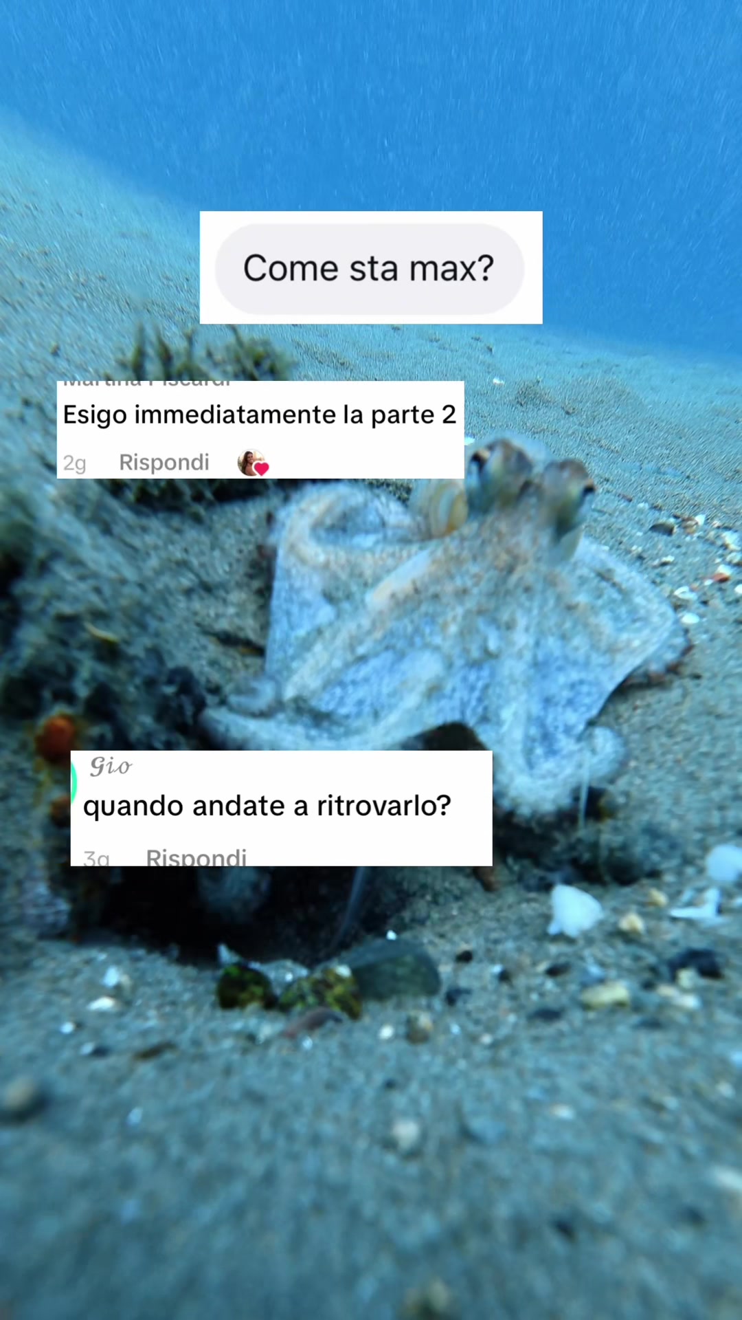 @Marta Di Muro