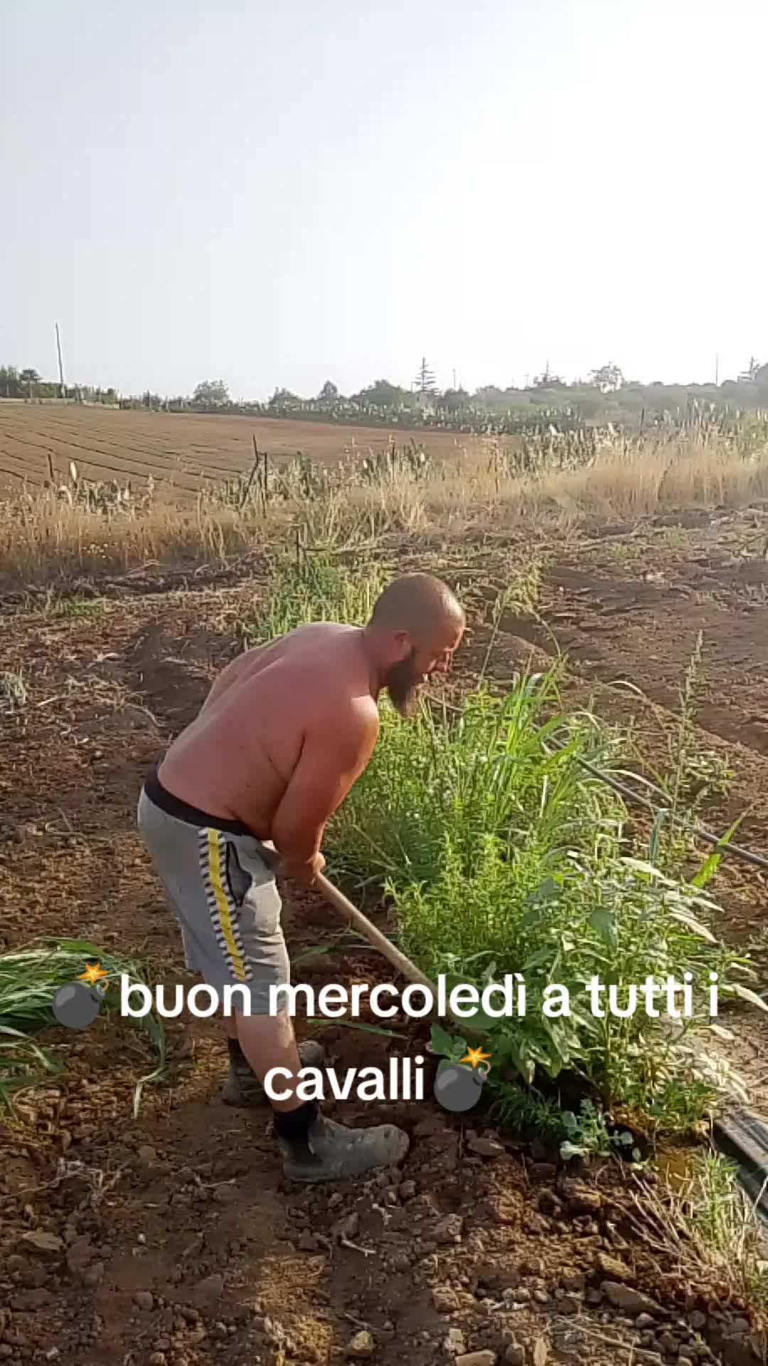 @Stefano Zagara