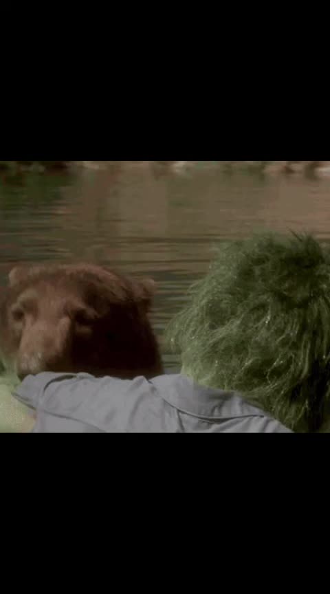 @GIF LOVER❤️