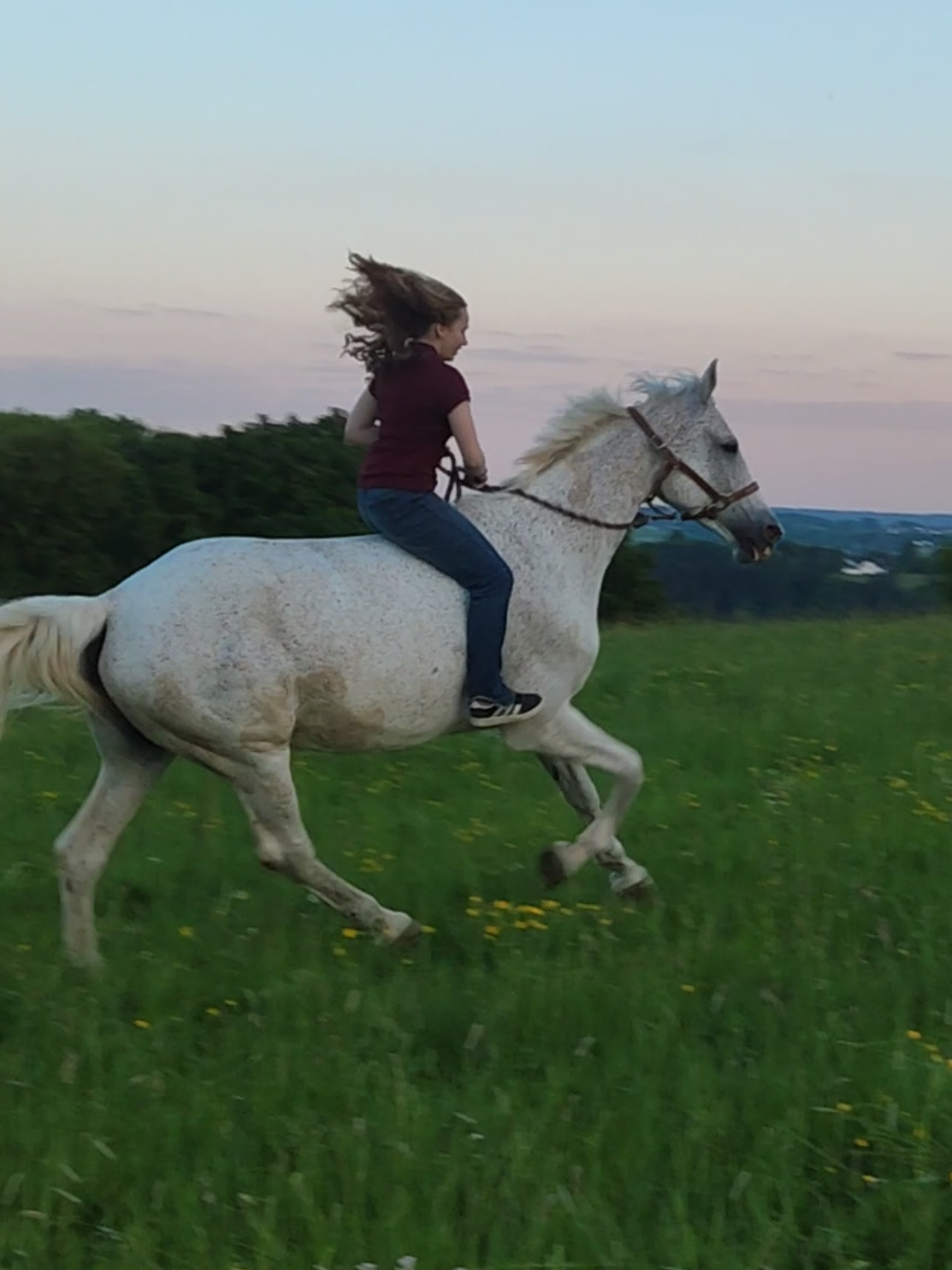 @Spring"Pony"Casha