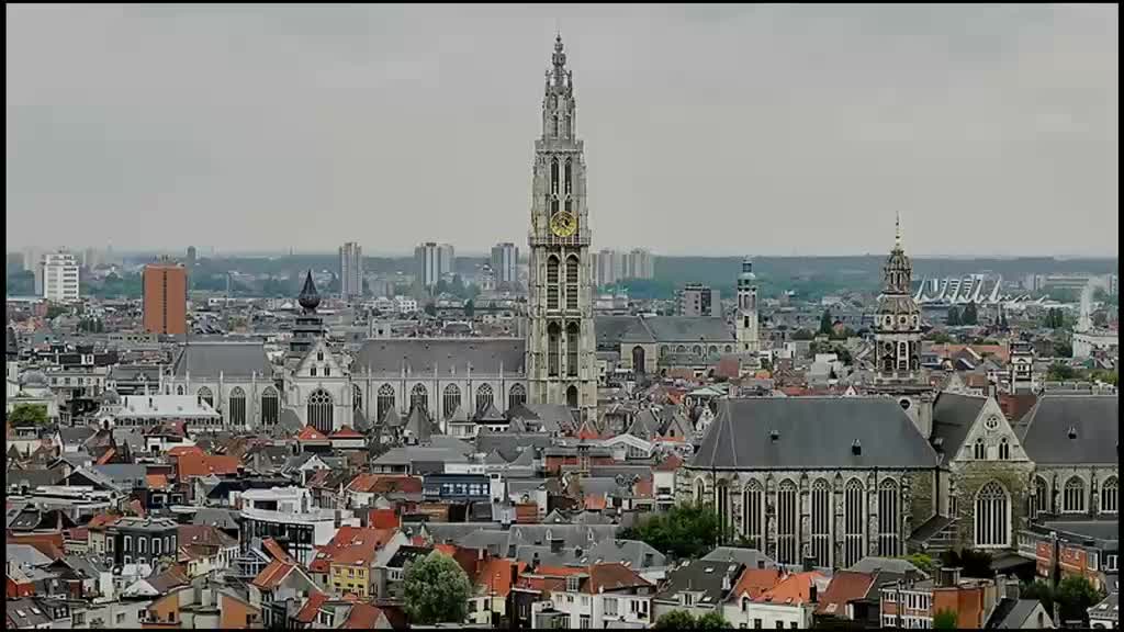 @Zucko Bruselas