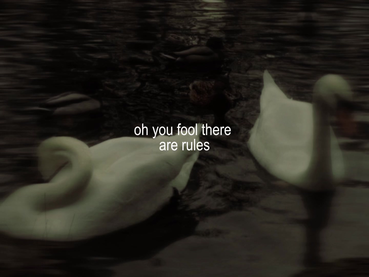 @Country Folk Intern