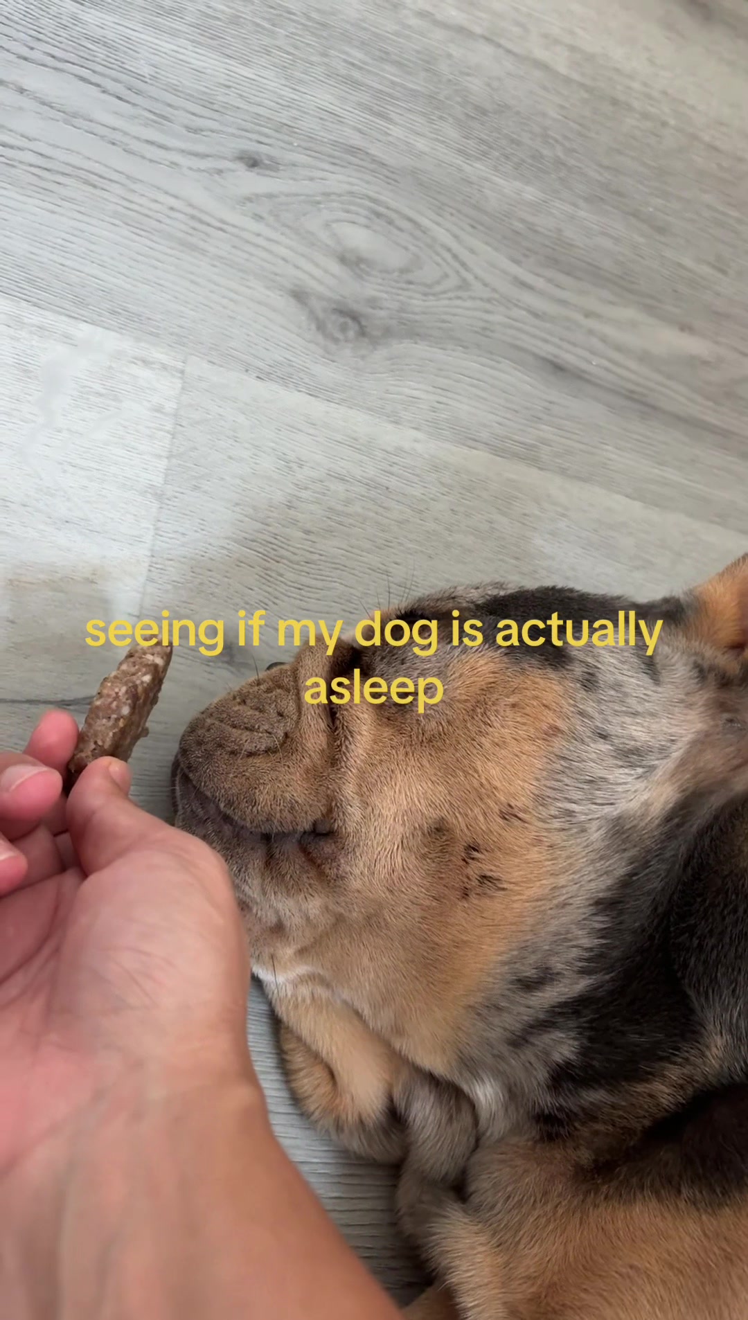 @vic🦥