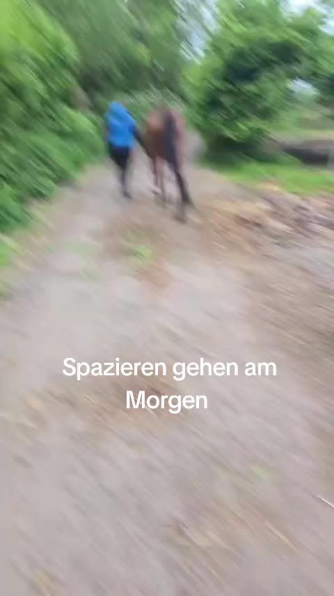 @Katinka, Peach 🐴 und Toffee🐶