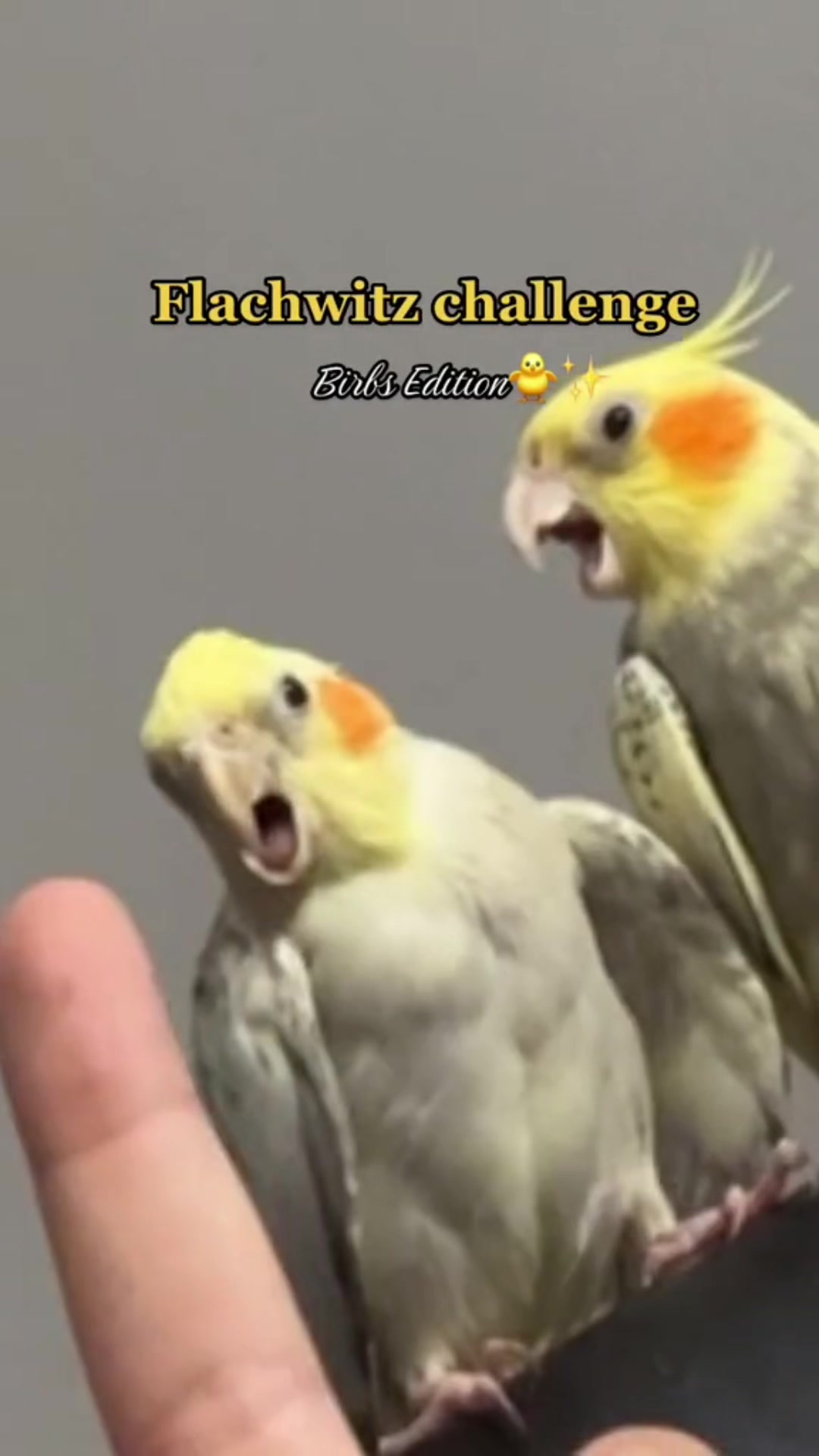 @Nafriate