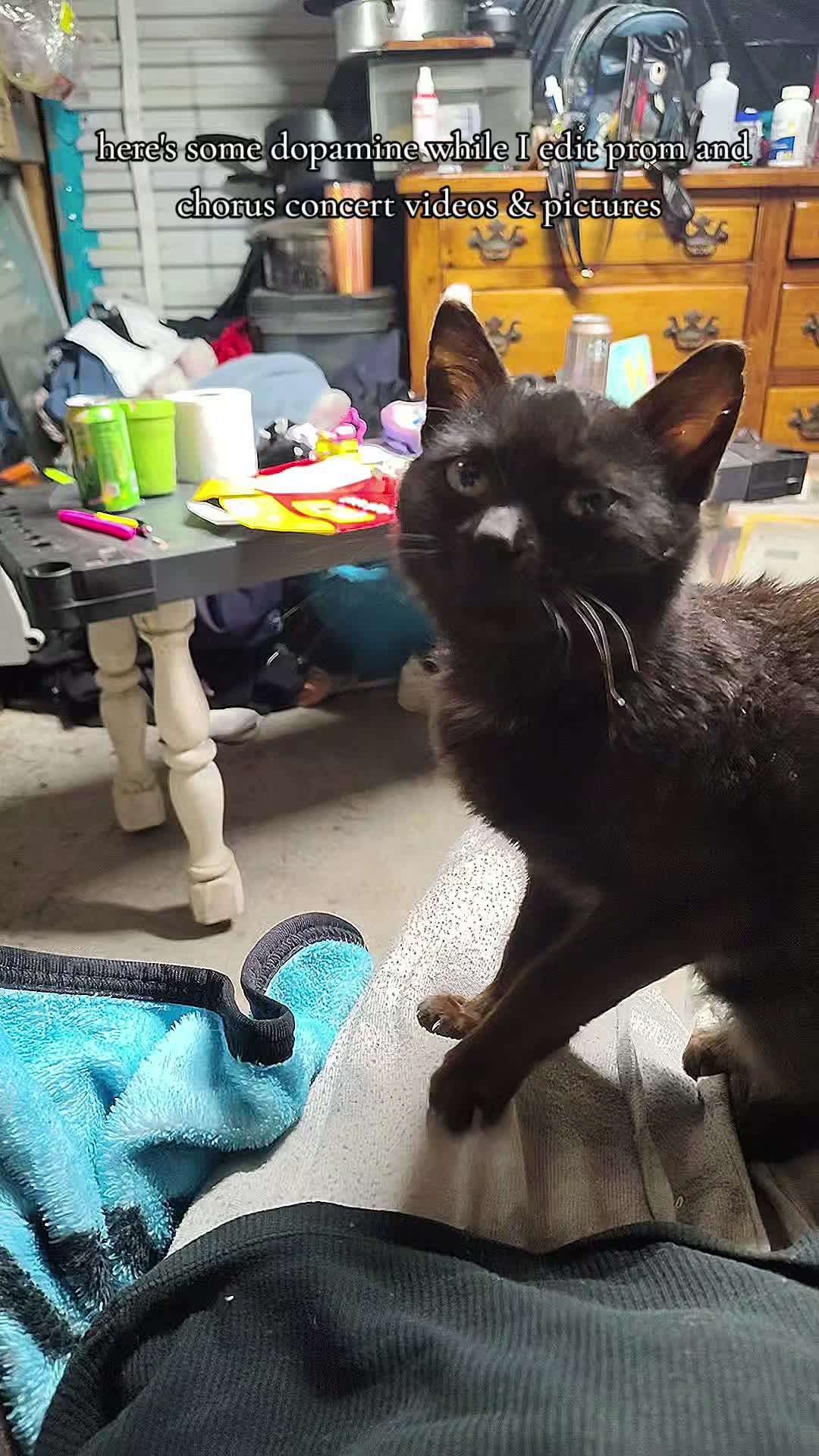 @๐๐๐๐ฅ๐๐๐๐๐๐