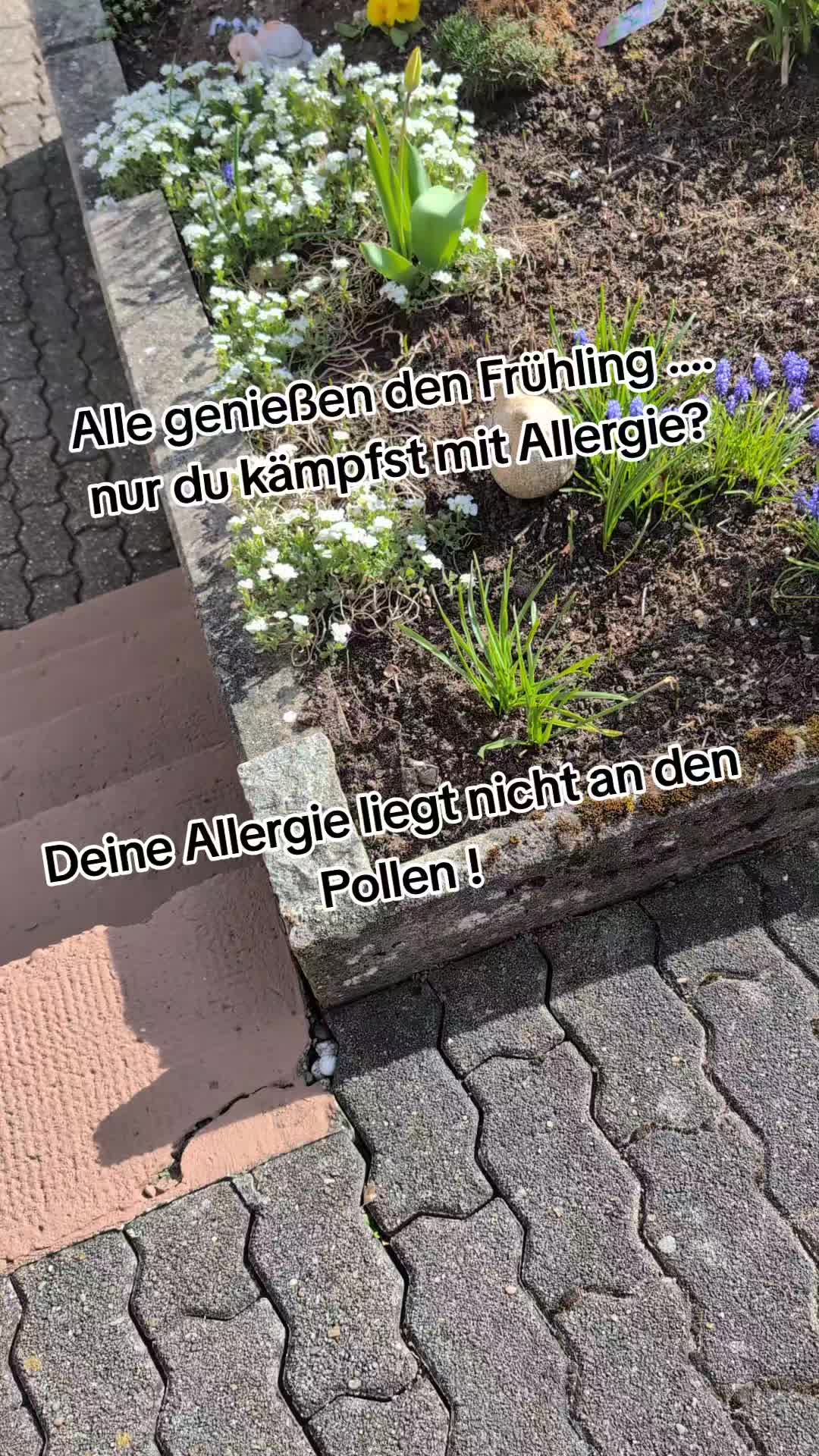 @Jasmin Waitzl