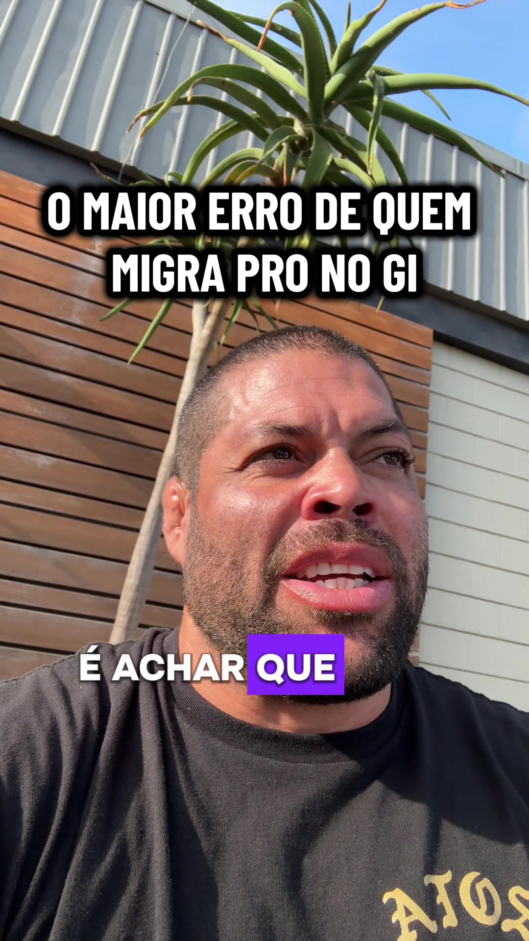 @Andre Galvao