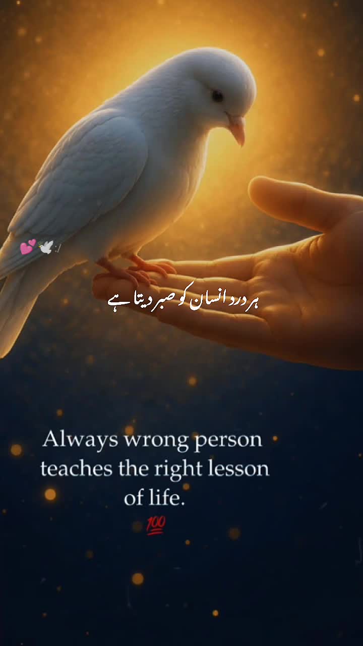 @Usama Nazir