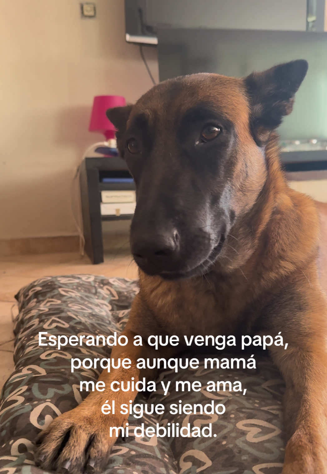 @Lobalobita