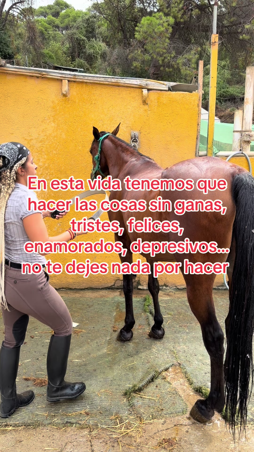 @Estrella