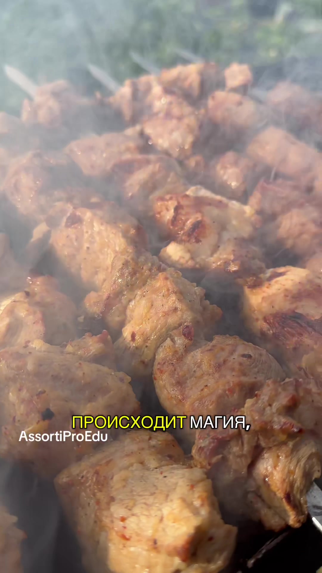 @AssortiProEdu