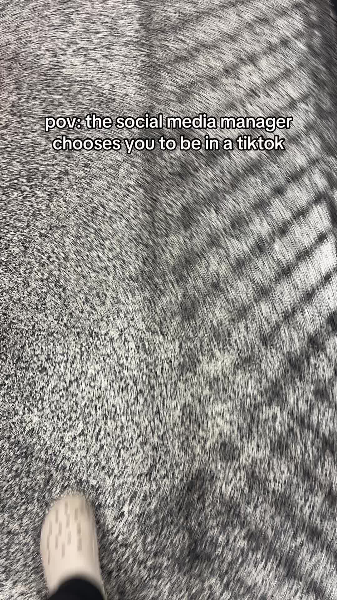 @skyzonegambrills