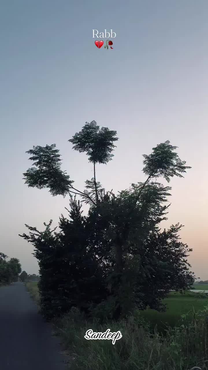 @Sdeep_2022