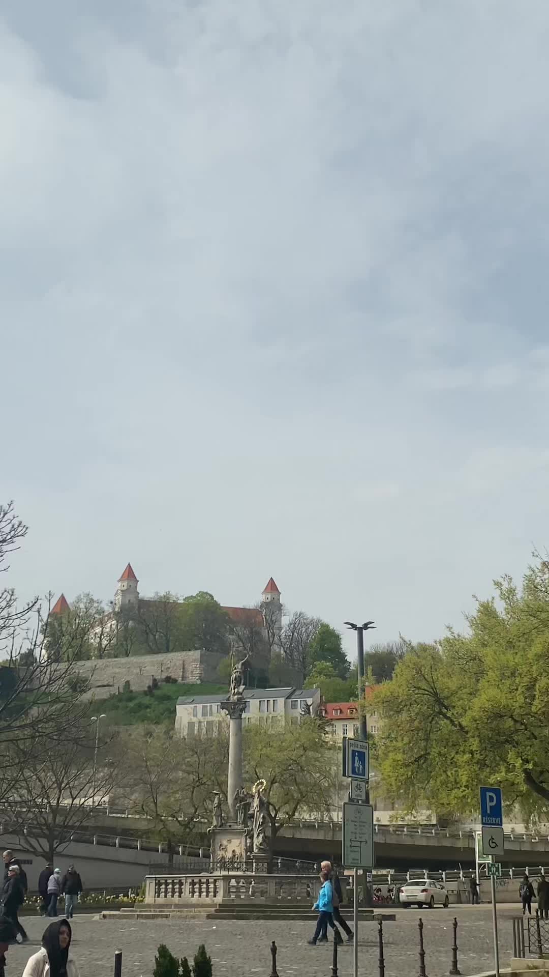 @teo.visualss