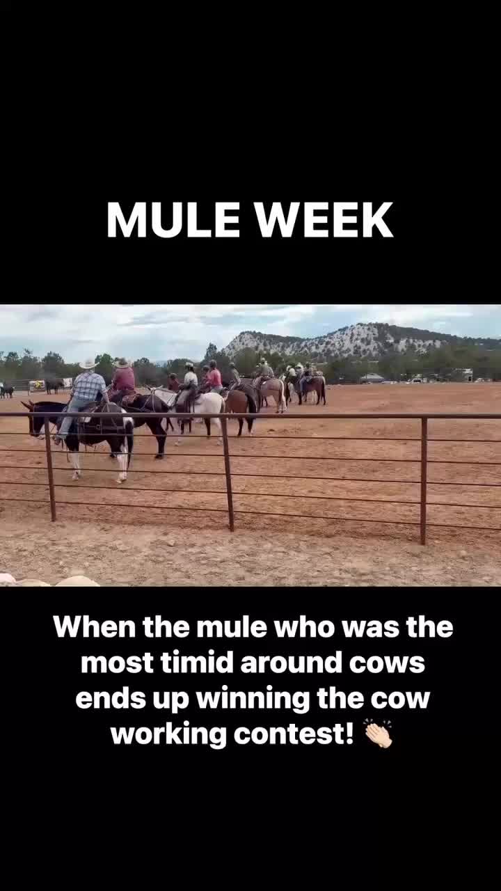 @Skye Evans TSMULES