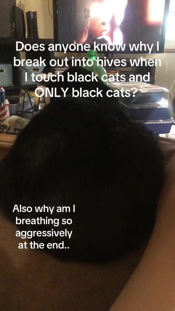 @the_darkstalker0