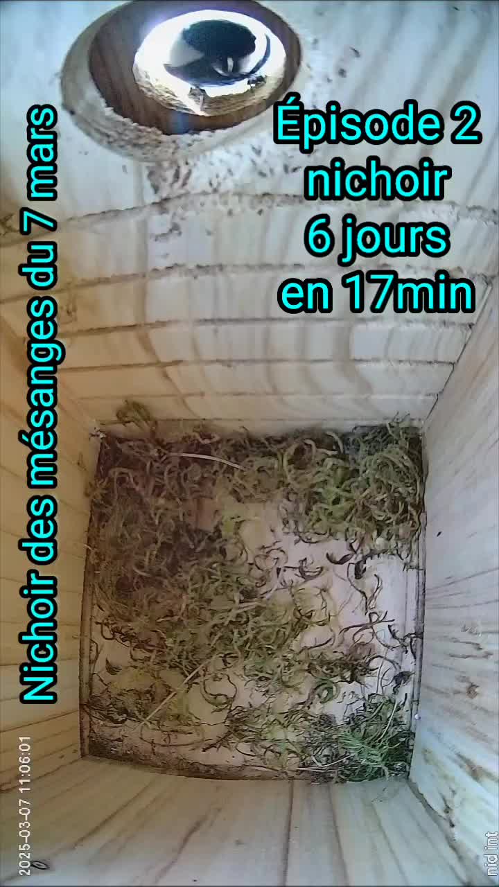 @A la D&eacute;couverte du Monde