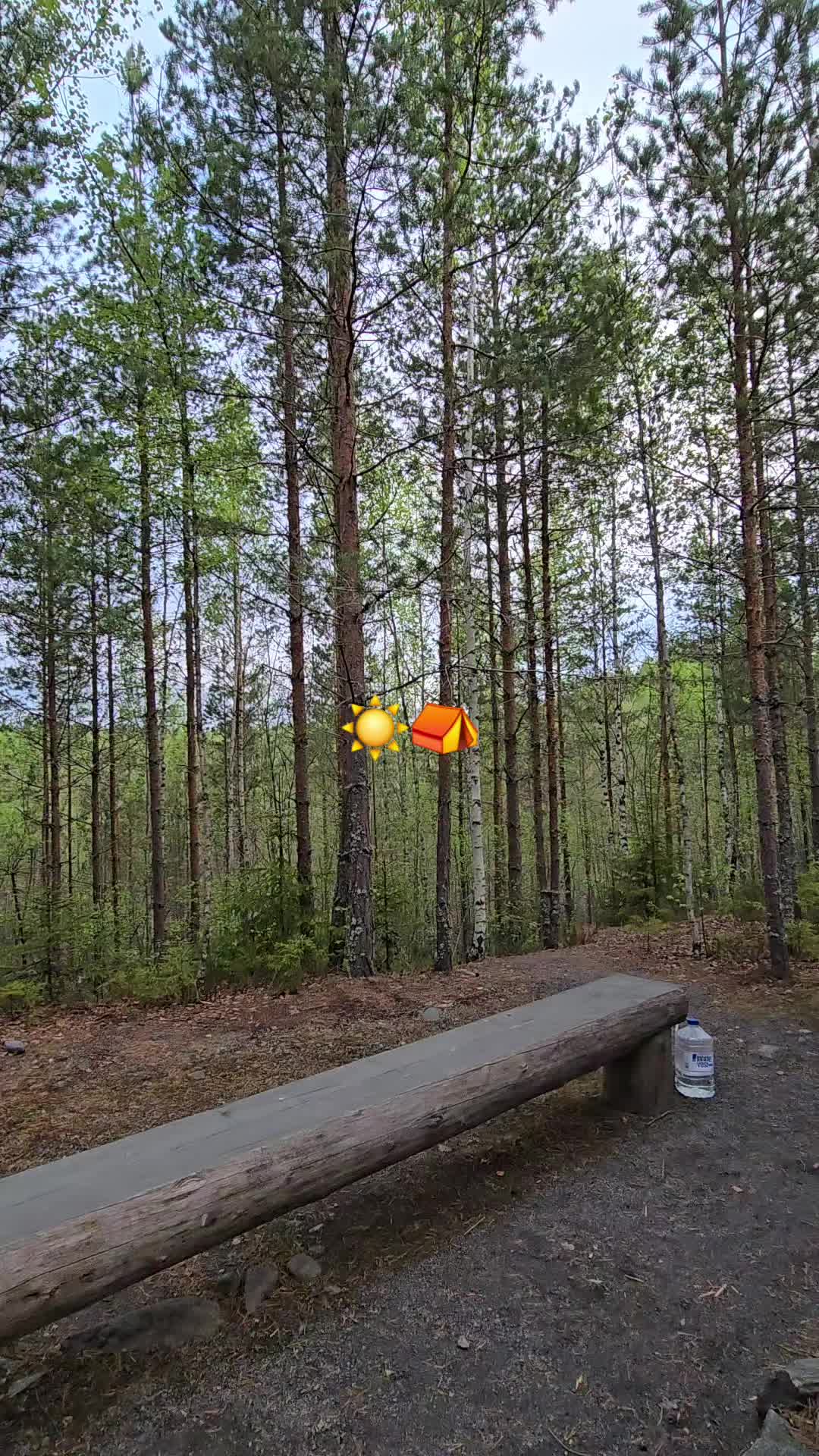 @Mikko Flanski